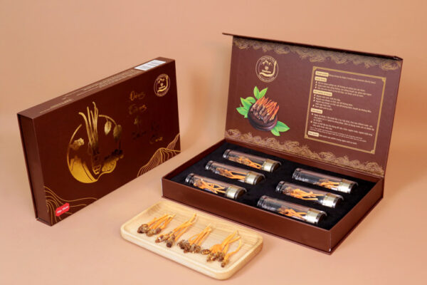 Đông Trùng Hạ Thảo Nguyên Con